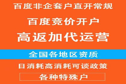 提升转化率：SEM竞价专员的案例研究